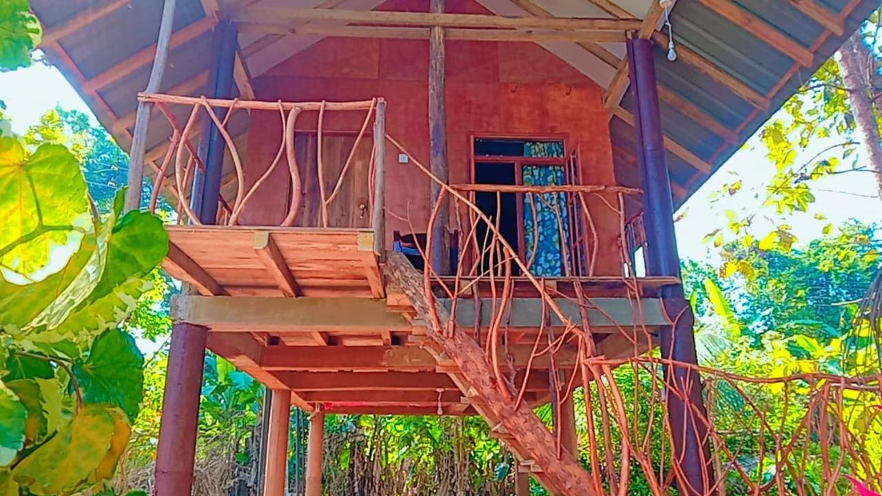 ホテル Sigiri Aliya Tree House シギリヤ エクステリア 写真