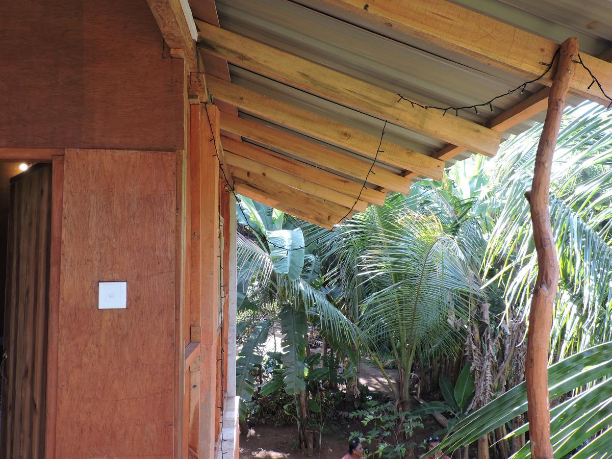 ホテル Sigiri Aliya Tree House シギリヤ エクステリア 写真