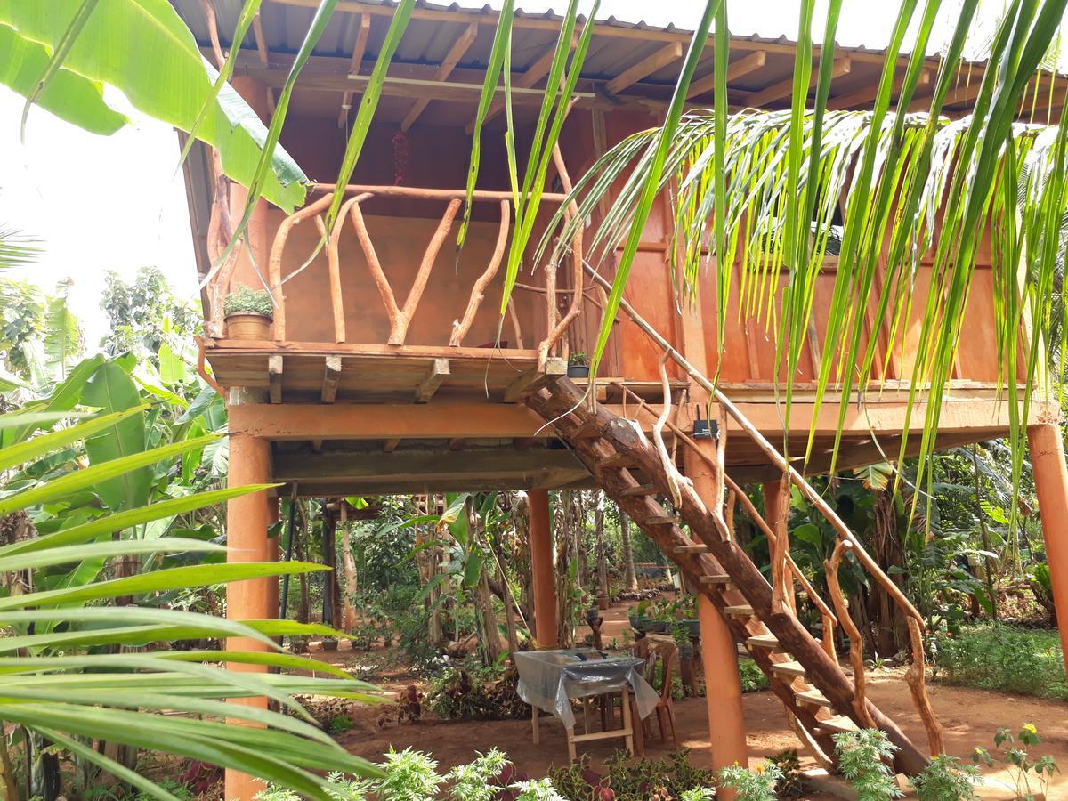 ホテル Sigiri Aliya Tree House シギリヤ エクステリア 写真