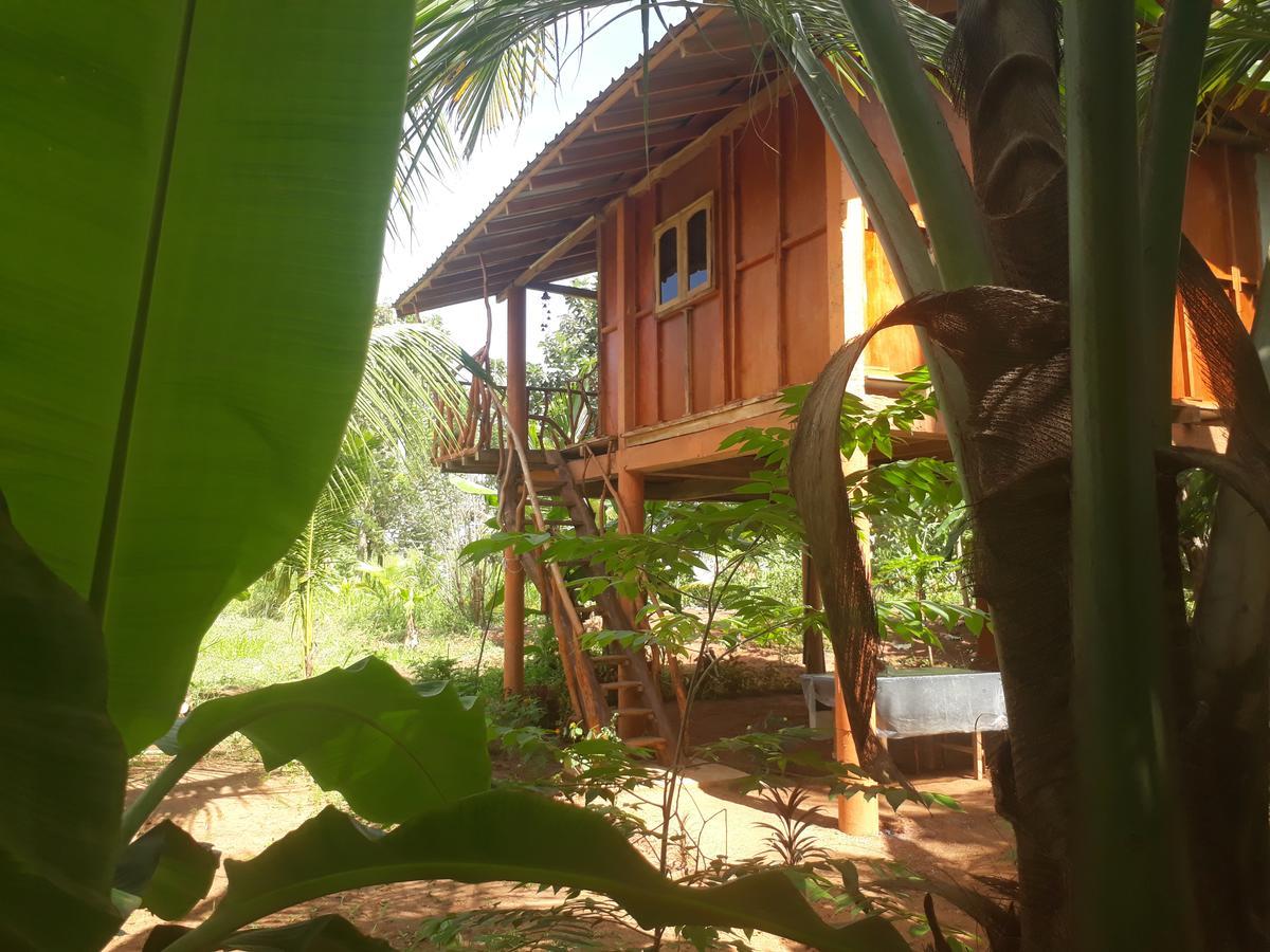 ホテル Sigiri Aliya Tree House シギリヤ エクステリア 写真