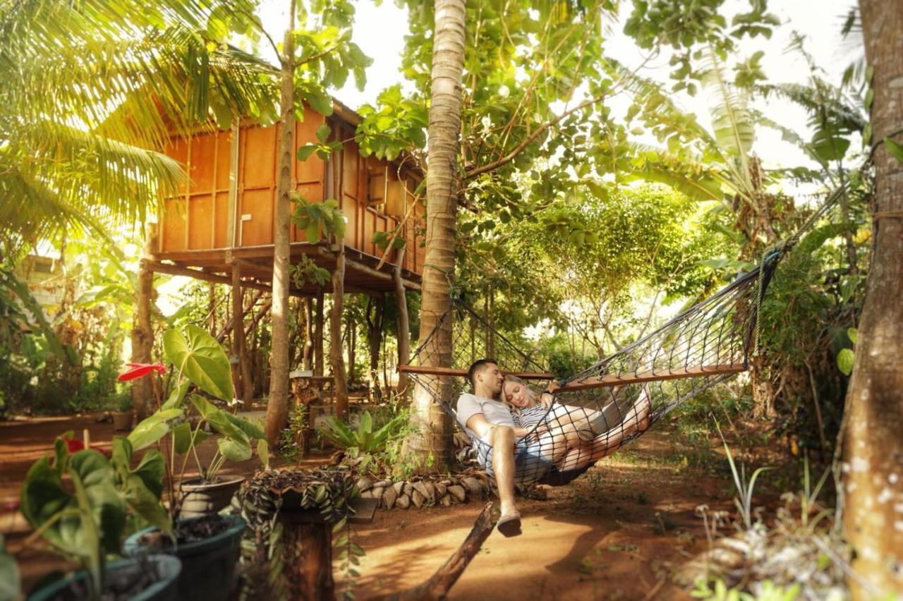 ホテル Sigiri Aliya Tree House シギリヤ エクステリア 写真