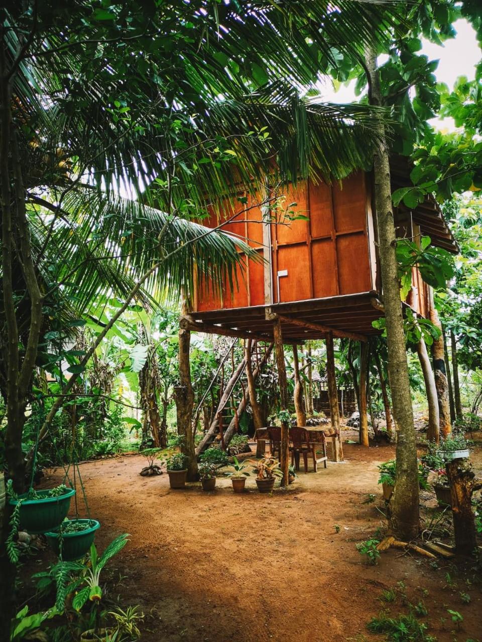 ホテル Sigiri Aliya Tree House シギリヤ エクステリア 写真